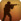 CSGOZM